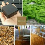 สบู่สครับกาแฟ ดอยช้างผาด่าน Doi Change Pha Dan สบู่สมุนไพร สบู่กาแฟ